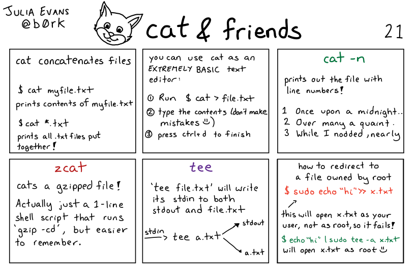 Julia Evans’ comic about cat